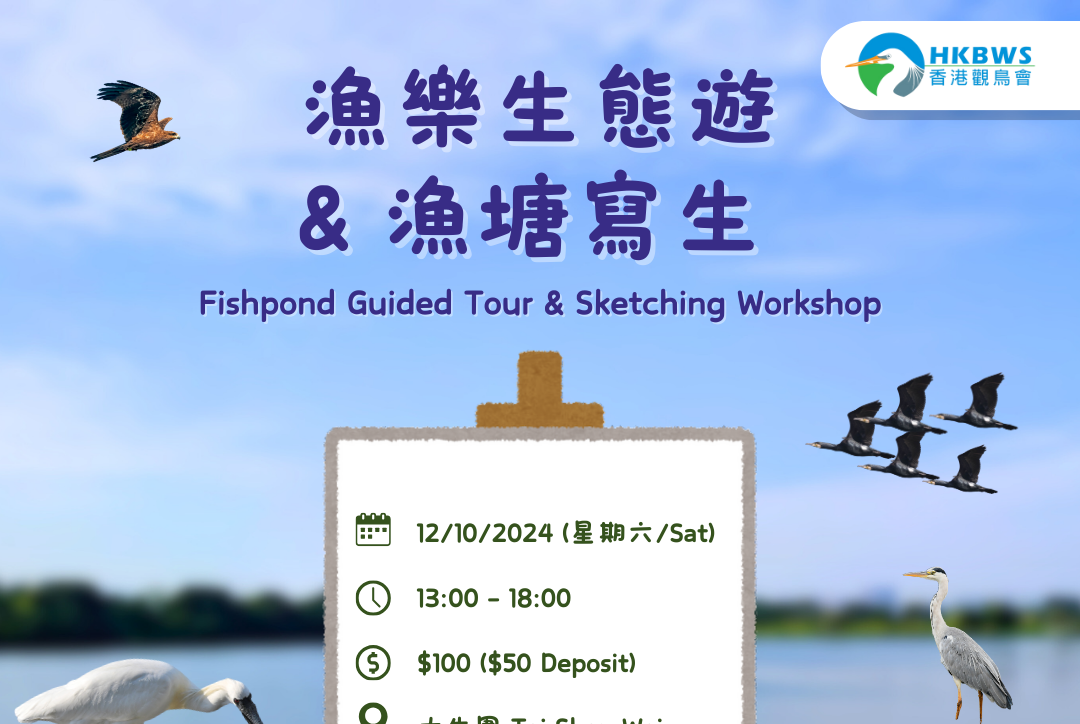 Fishpond Guided Tour & Sketching Workshop